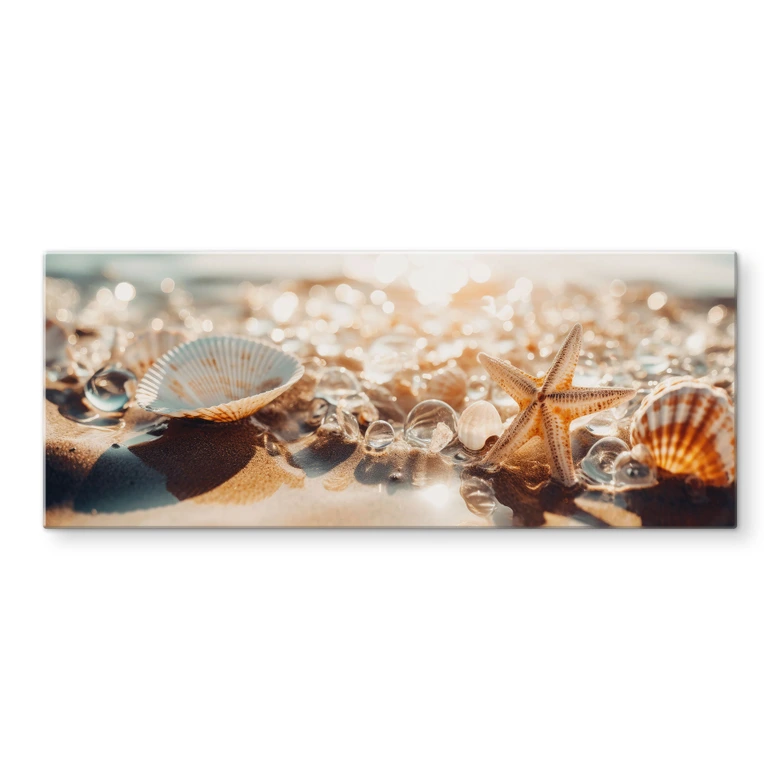 Spritzschutz Muscheln am sonnigen Strand - Treechild - Panorama 