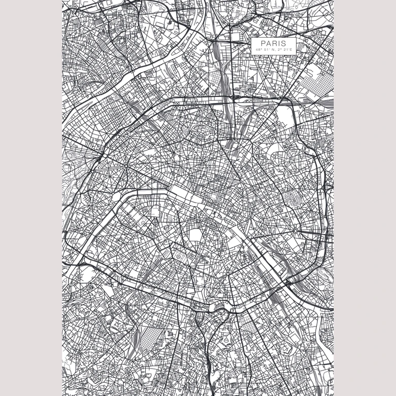Wall Mural Map of Paris 