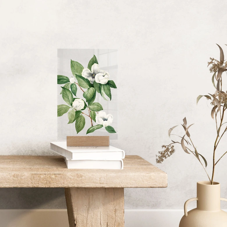 Présentoir de table Botanique Illustration d'un faux camélia - Walcott 
