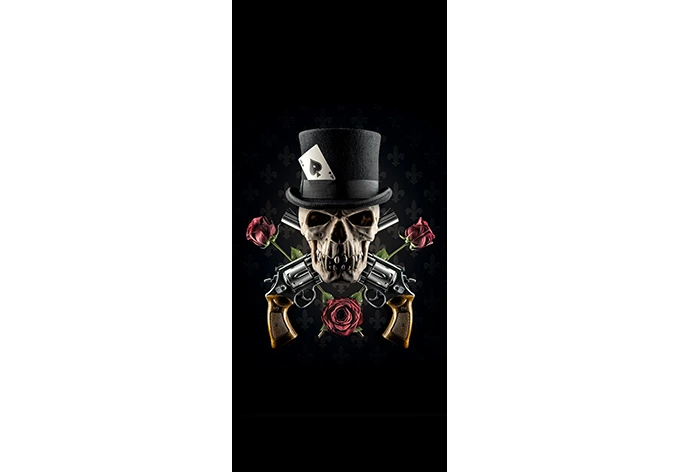 Türdesign Damstén - Guns and Roses 91x200 cm 