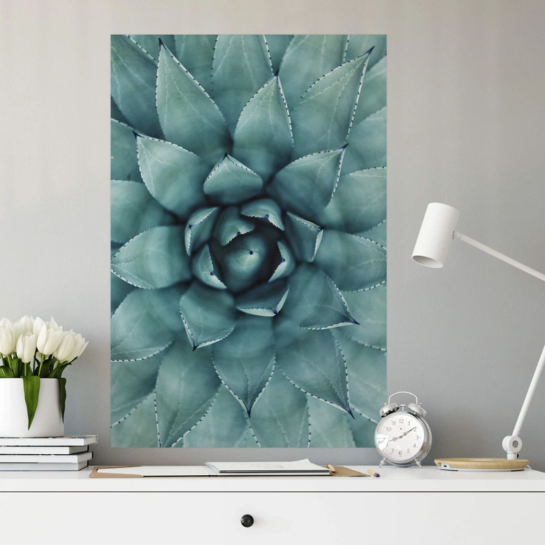 Wallprint Agave 02 