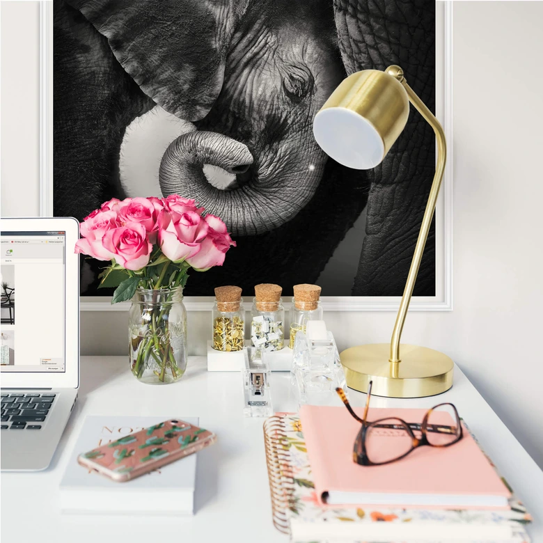 Wallprint - Das Elefantenbaby 