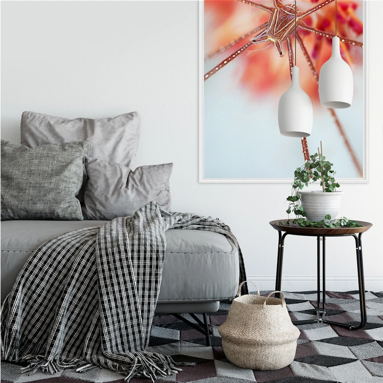 Wallprint Narchuk - Unterwasser-Exotik 