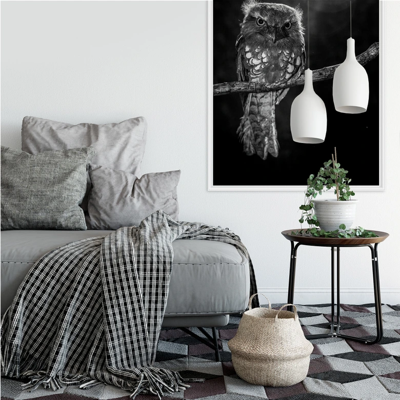 Wallprint Wilianto - Staring Owl 