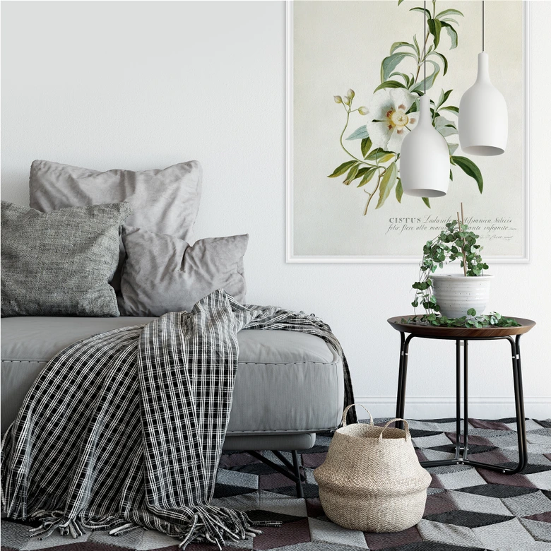 Wallprint - Ehret - Zistrose 