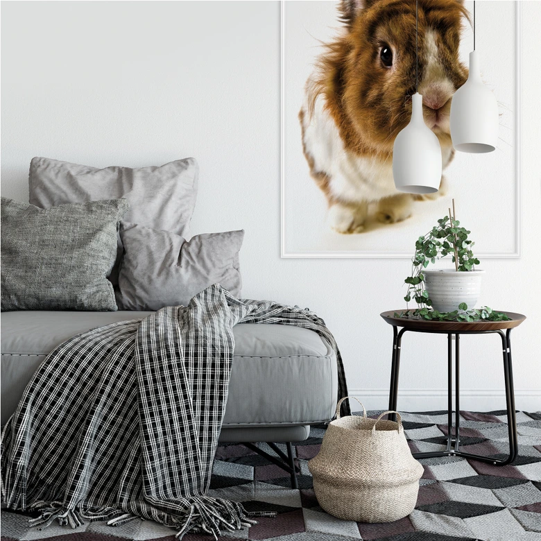 Zelfklevende Poster Konijn 