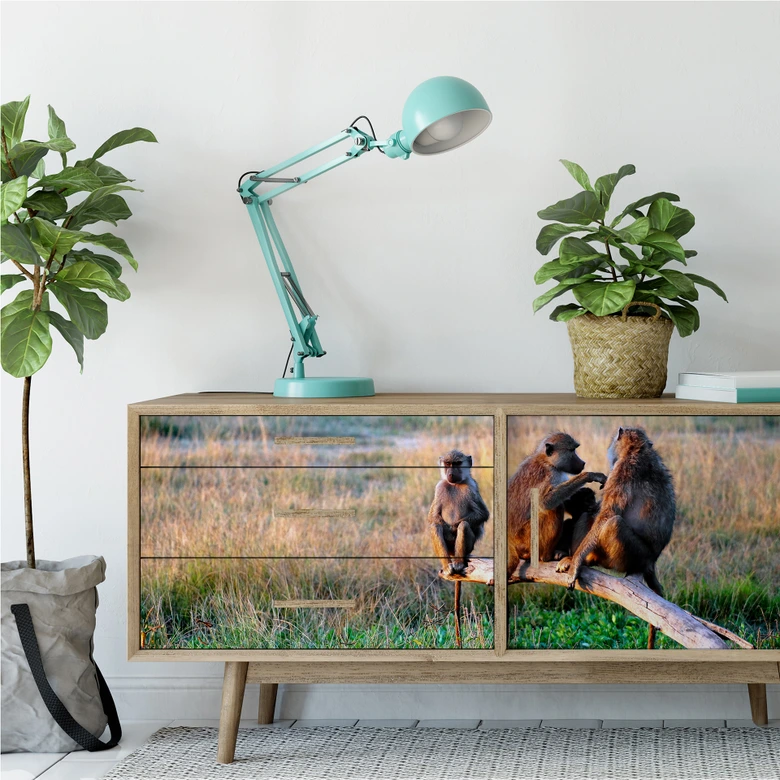 Wallprint - Affenbande - Panorama 