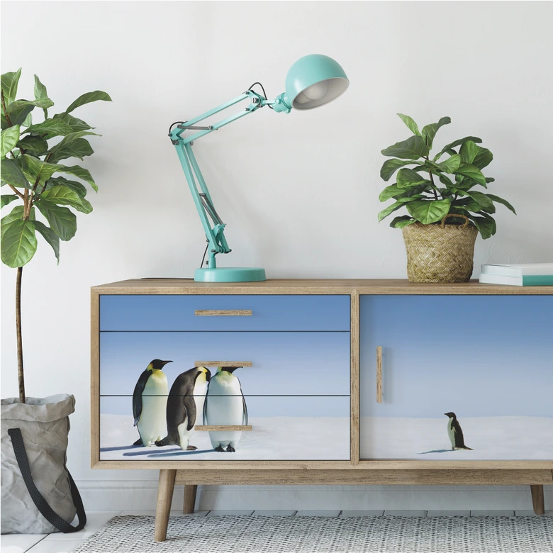 Wallprint W - Penguin - Panorama 