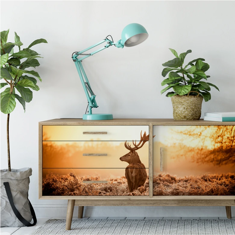 Wallprint - Majestätischer Hirsch - Panorama 