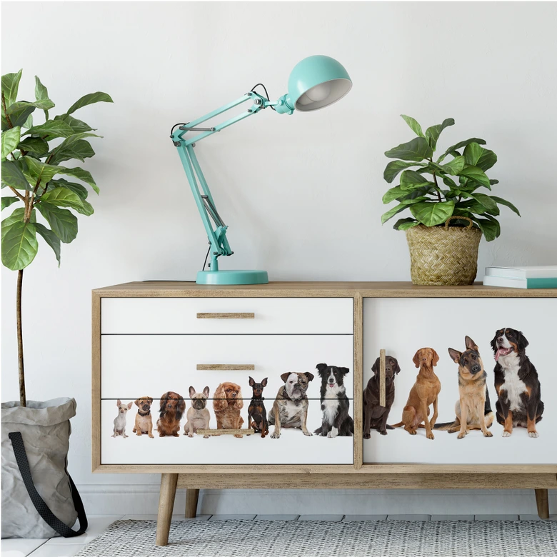 Wall print 48 Paws - Panorama 