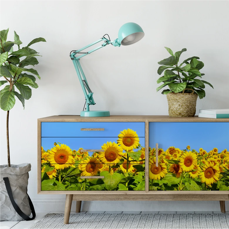 Wallprint - Sonnenblumenfeld - Panorama 