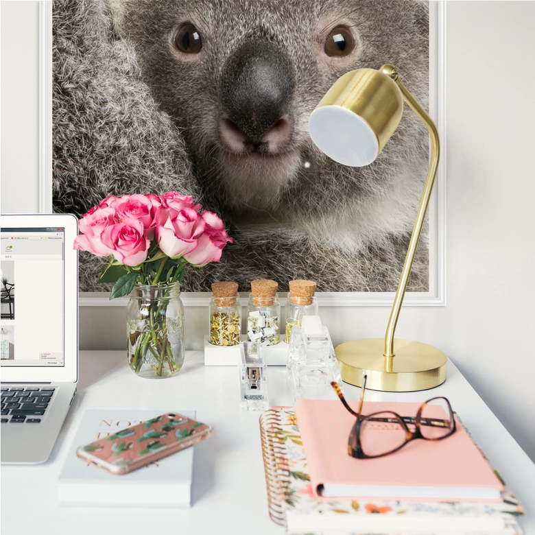 Wallprint - Cuddly Koala 