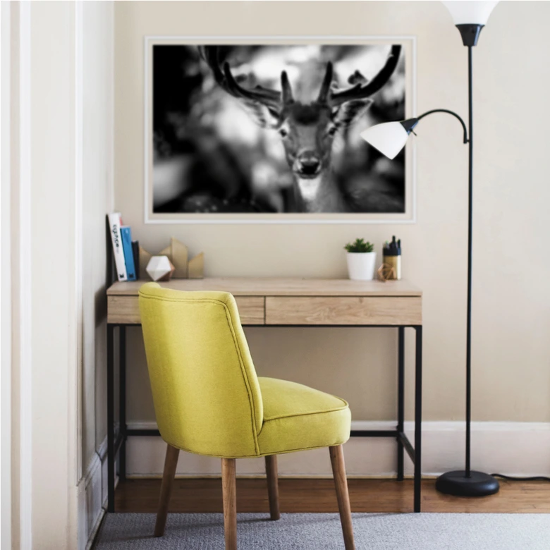 Wallprint Sandra - Junger Hirsch 