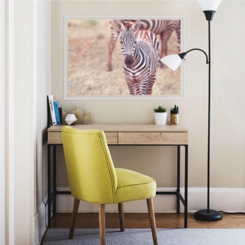 Wallprint - Zebra Fohlen 