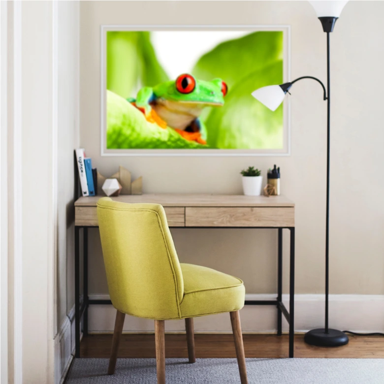 Wallprint W - Knallfrosch 