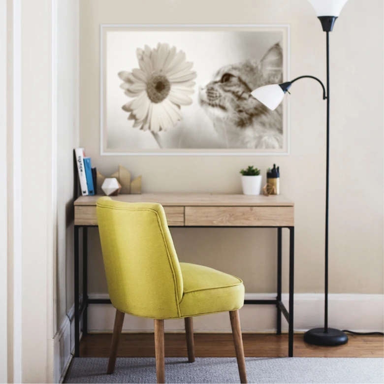 Wallprint - Katzenneugier 