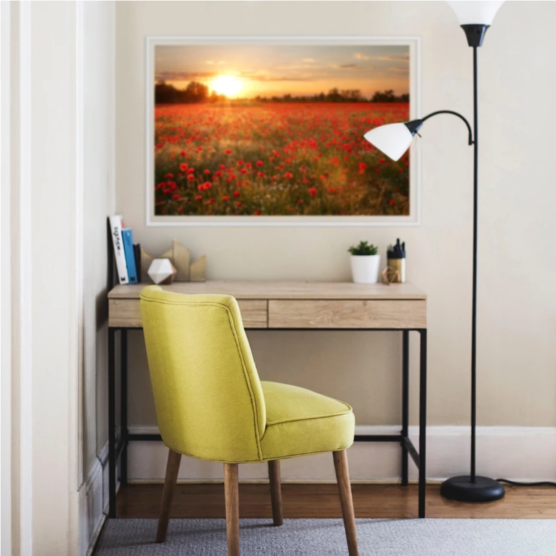 Wallprint - Mohnfeld im Sonnenuntergang 