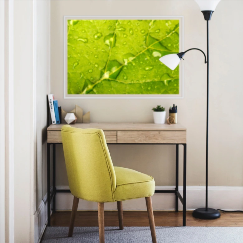 Wallprint - Wasserperlen 