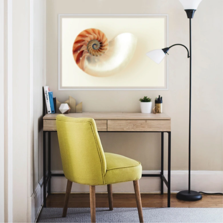 Wallprint Nautilus 