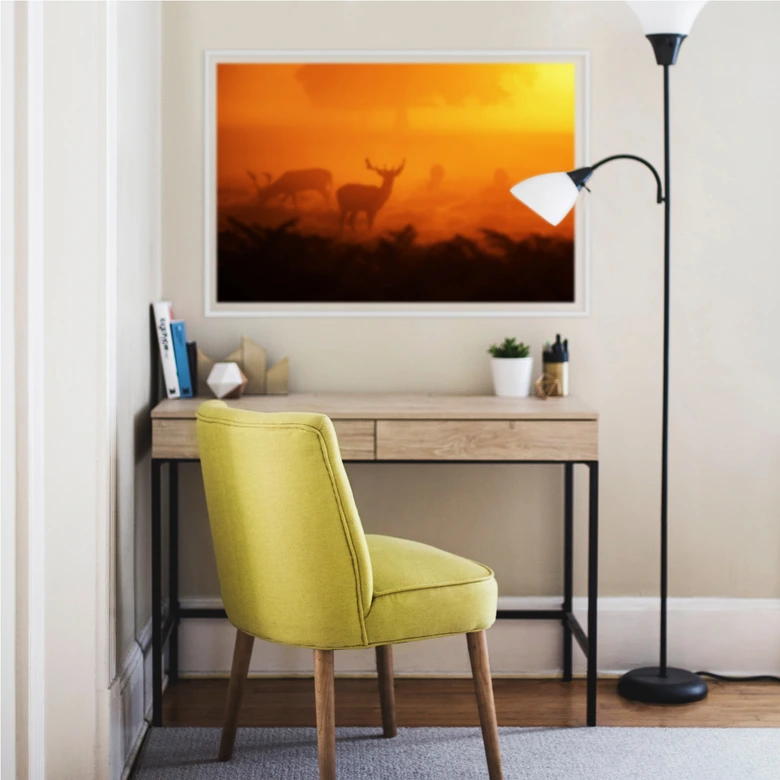 Wallprint Hirsche im Sonnenuntergang 