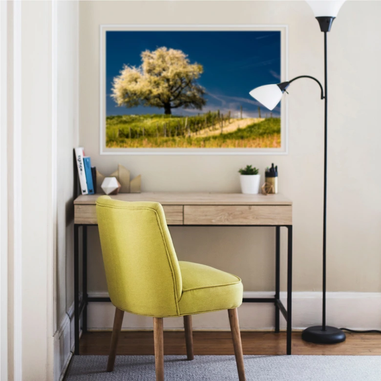 Wallprint - Blütenpracht im April 