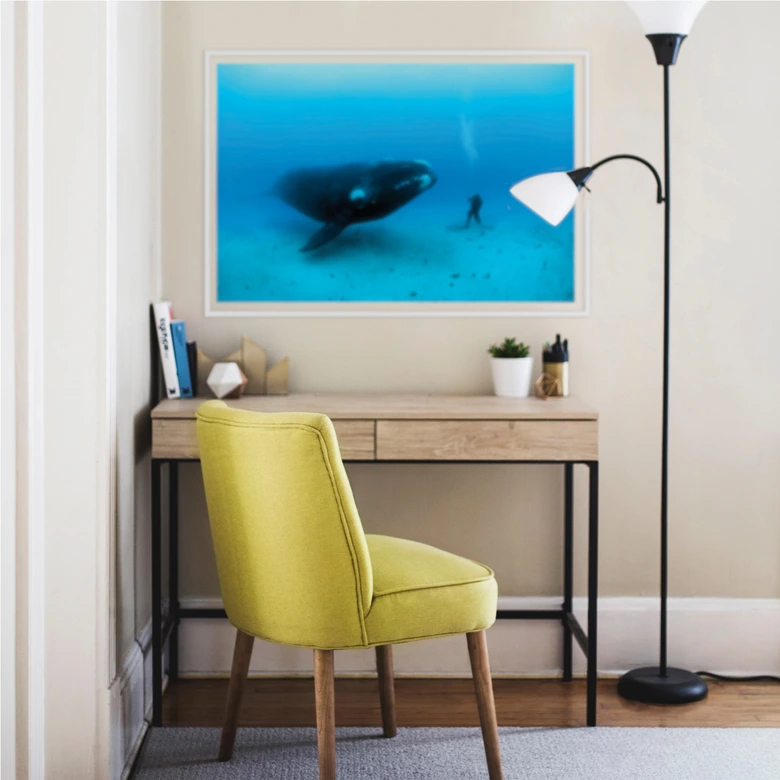 Wall print NG whale with diver 