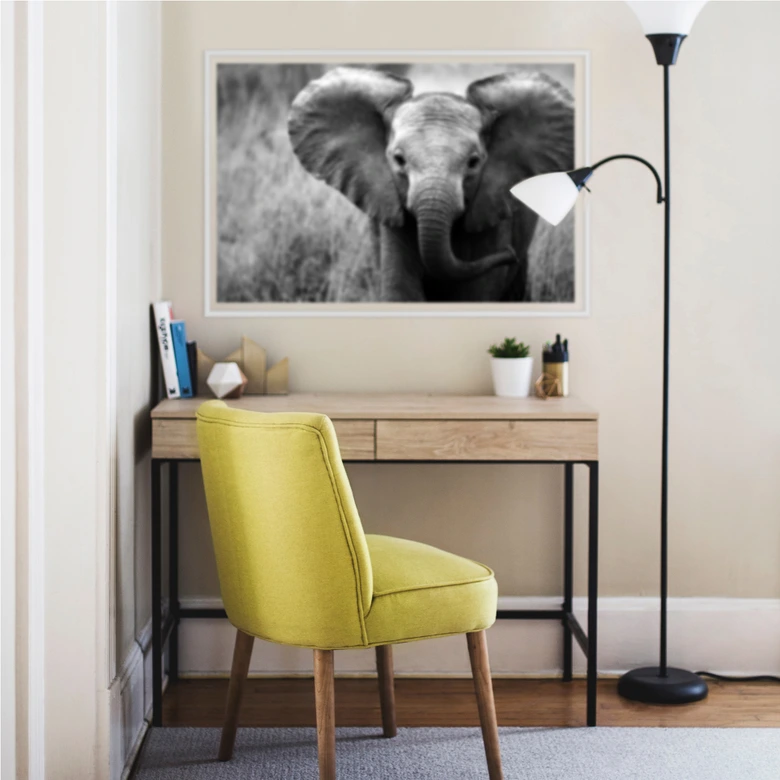 Wallprint W - Jumbo der kleine Elefant 