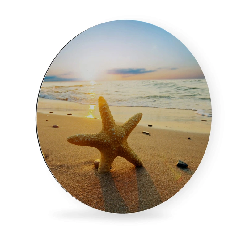 Alu-Dibond Zeester in het Zand - rond 