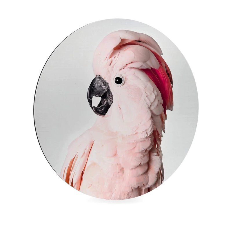 Alu-Dibond Sisi & Seb - Rosa Kakadu - Rund 