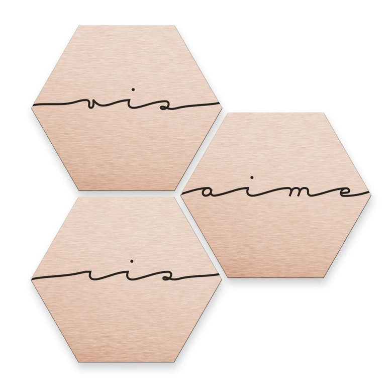 Hexagon - Alu-Dibond-Kupfereffekt - Vis ris aime (3er Set) 