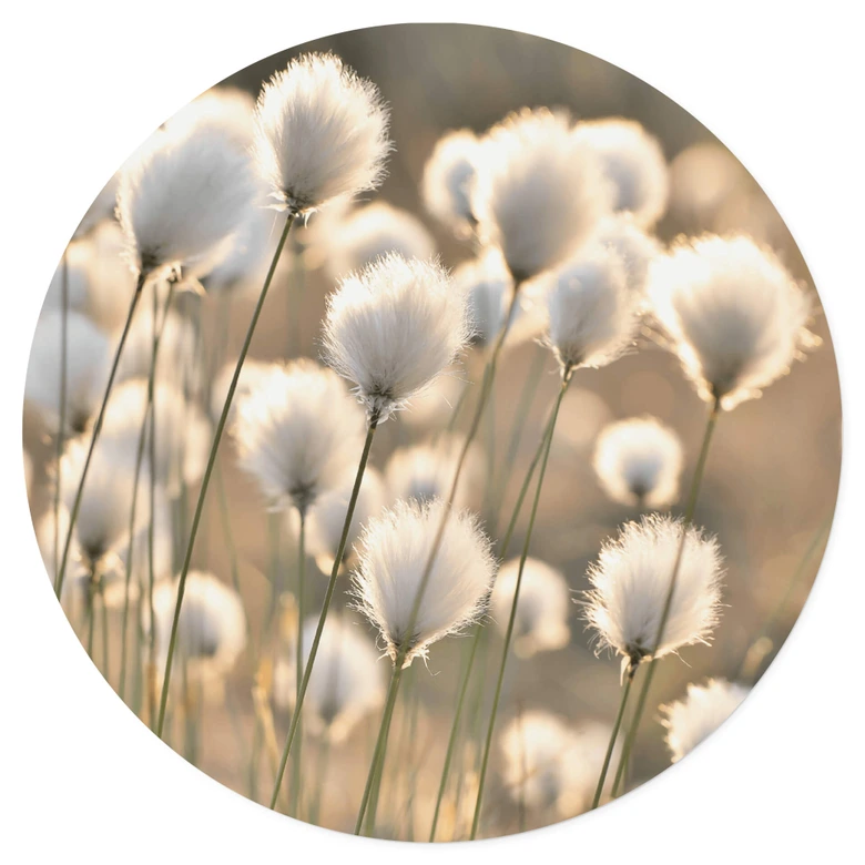 Naklejka na ścianę Delgado - Magia łąki - Okrągła 
