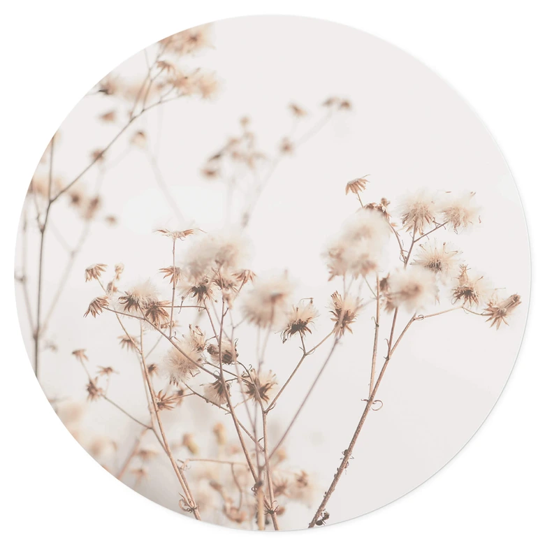 Muursticker Pastelkleuren 