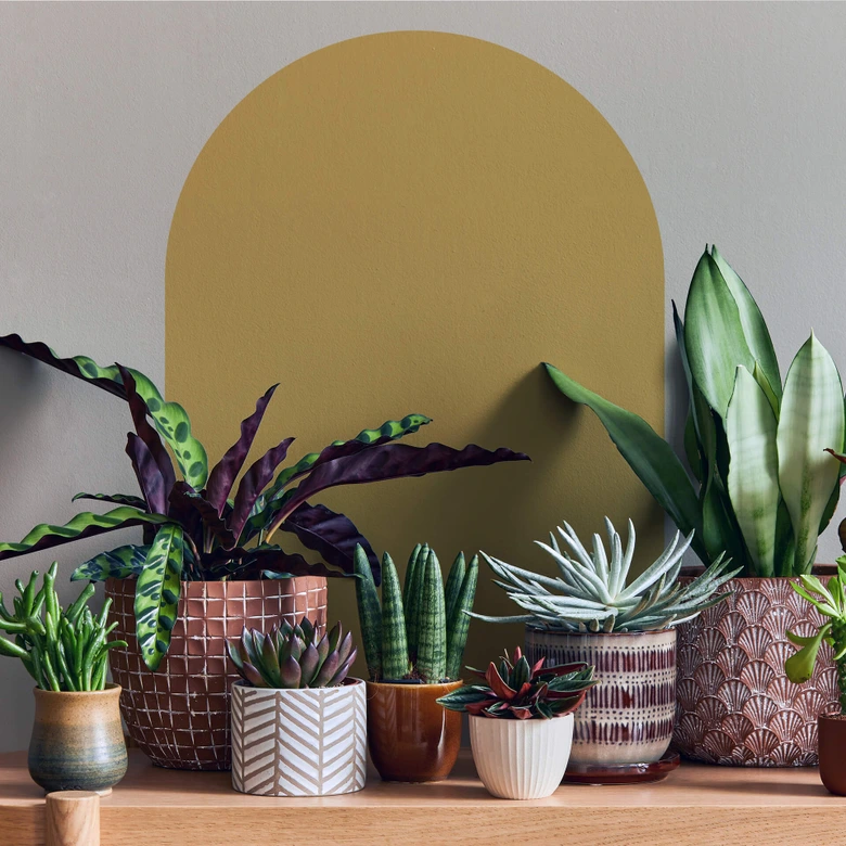 Muursticker Arch - Yellow 