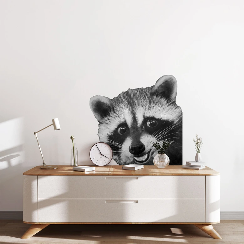 Wall sticker Racoon - Graves 