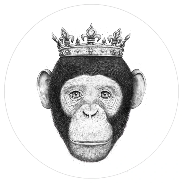 Sticker mural Korenkova - Le roi Singe - Rond 