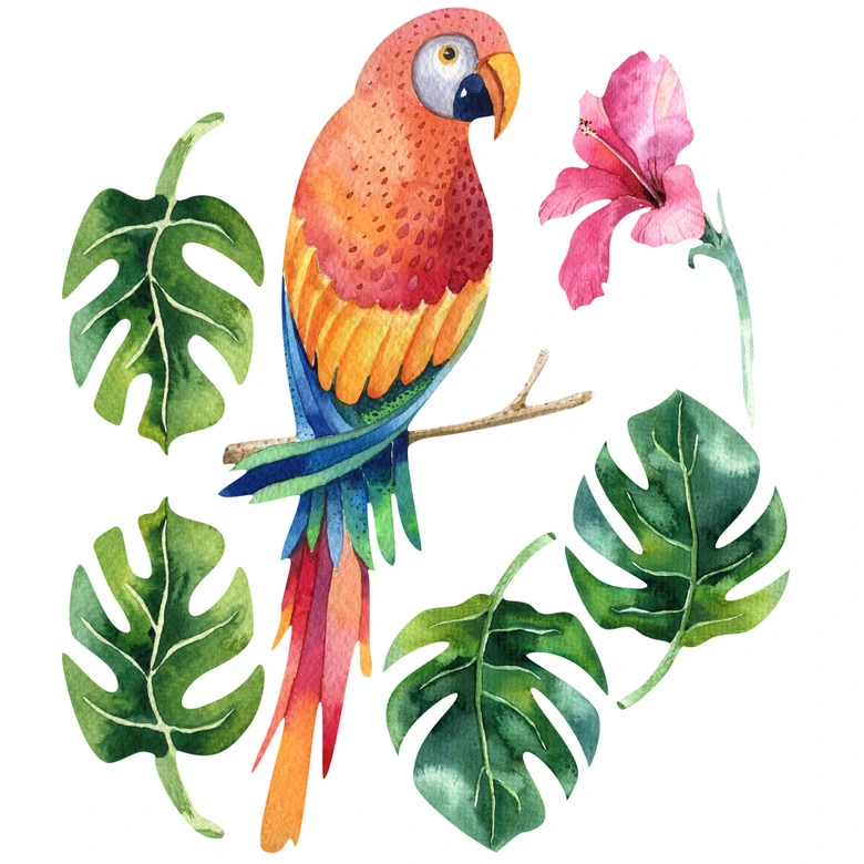 Muursticker Kvilis - Papegaai 02 