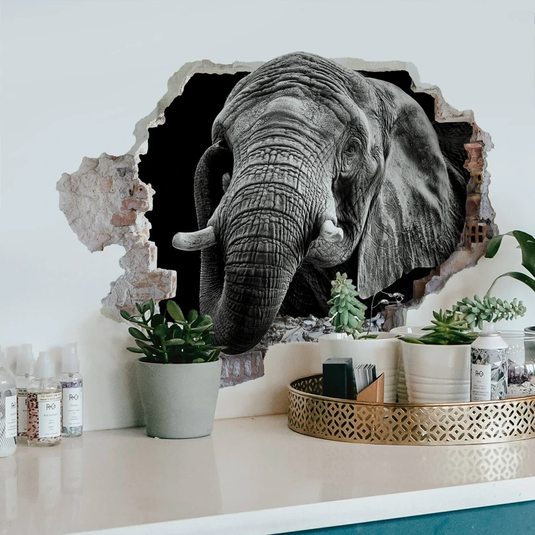 3D Wandtattoo Meermann - Afrikanischer Elefant 