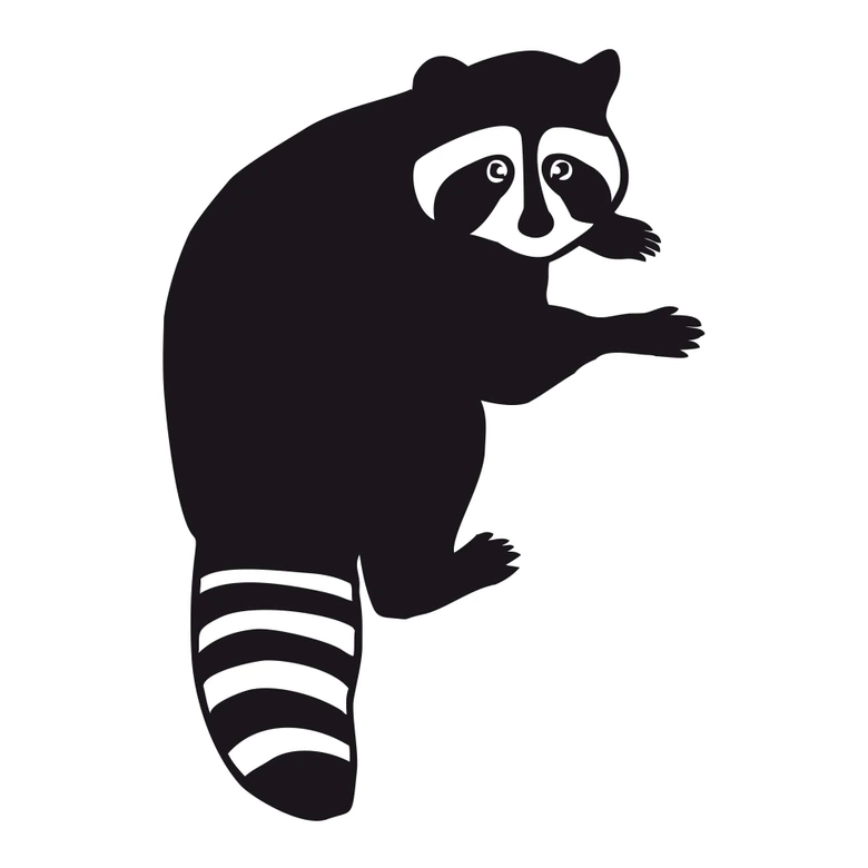 Wall sticker Raccoon 02 