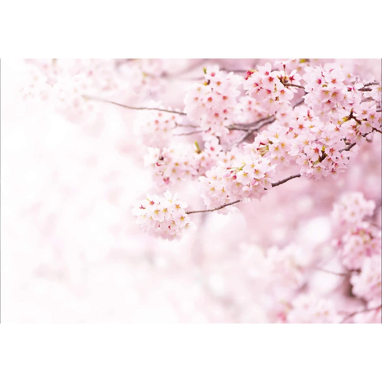 Papierbehang Fredriksson - Delicate Flowers 