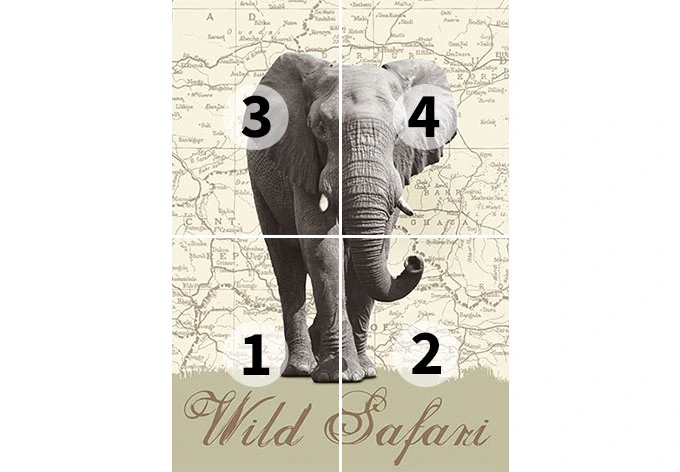 Fototapete Papiertapete Wild Safari 