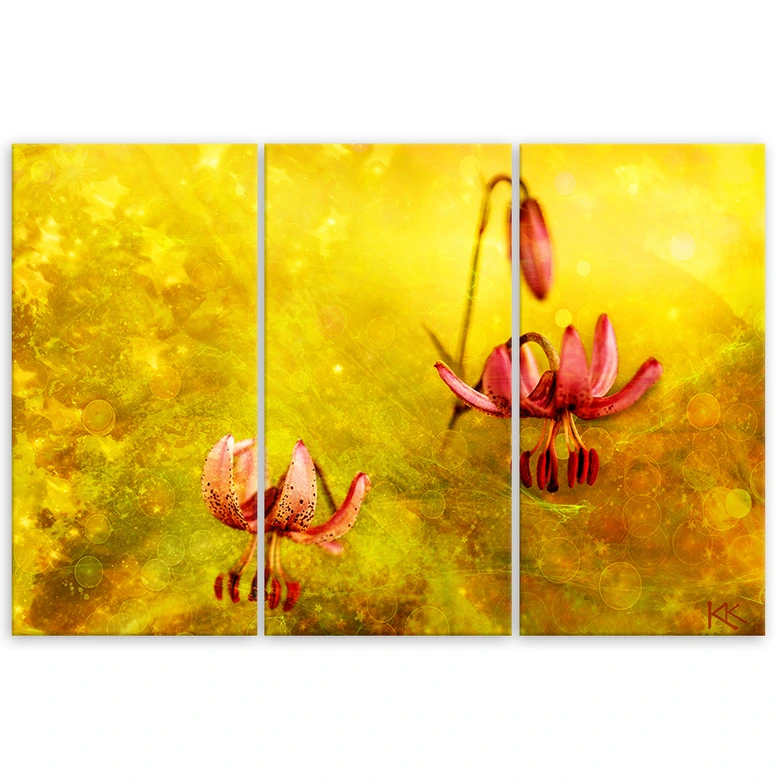 Leinwandbild 3 teilig, Verdosserte Tulpenblüten 