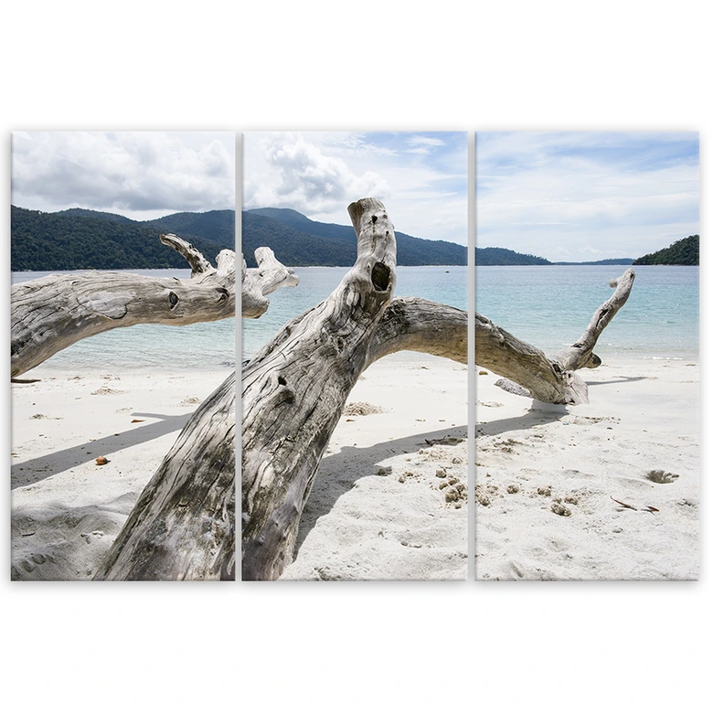 Leinwandbild 3-teilig, Meer Sand Strand Baum 