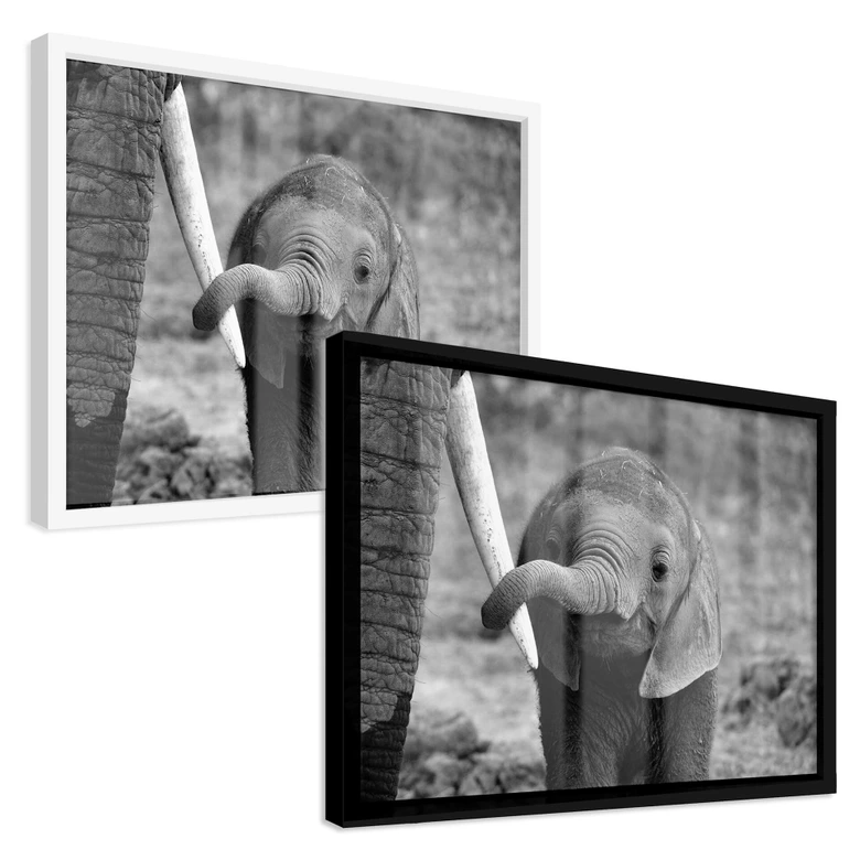 Poster Alicke - Close to Mum 