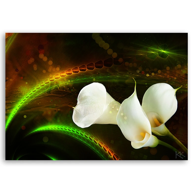 Canvasbillede, Kalien blomsterplanter 