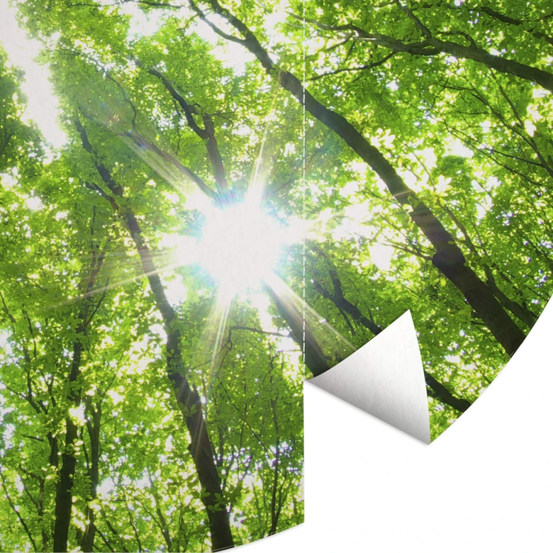 Round wall mural Tree Tops in the Forest - non self-adhesive/self-adhesive wallpapers 