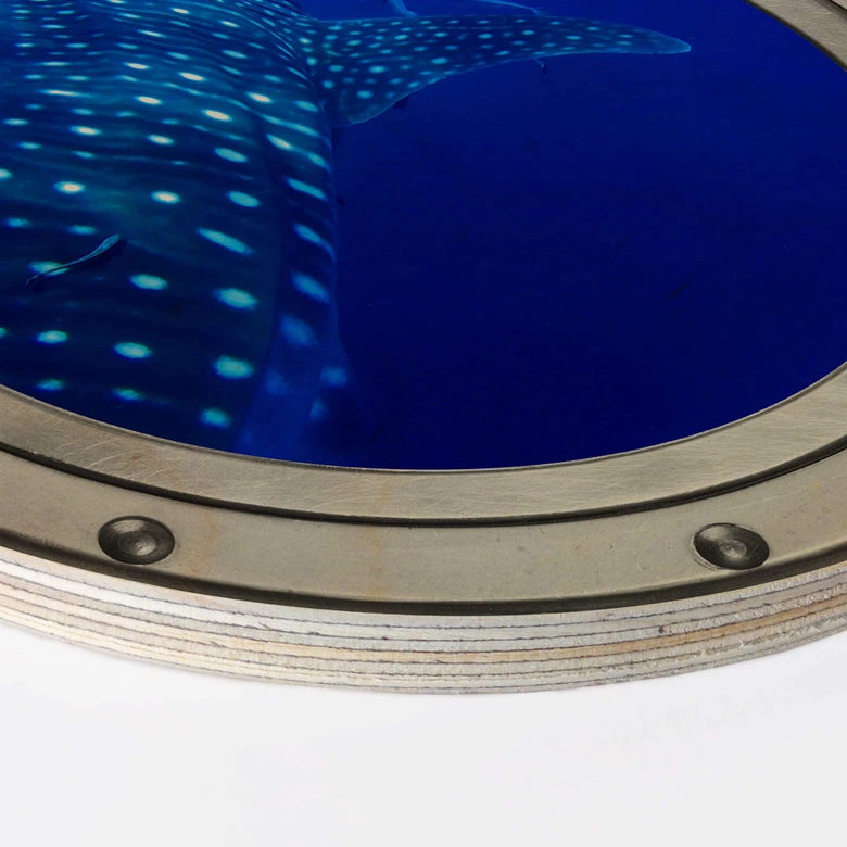 Trätavla 3D-optik porthål - Valhajen - Rund 