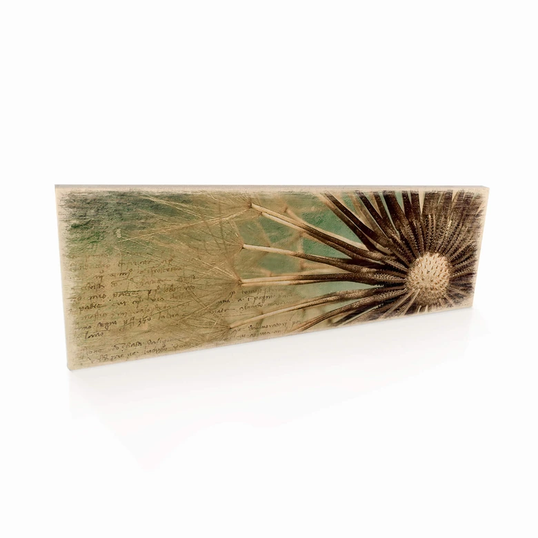 Holzschild Pusteblumen Poesie 