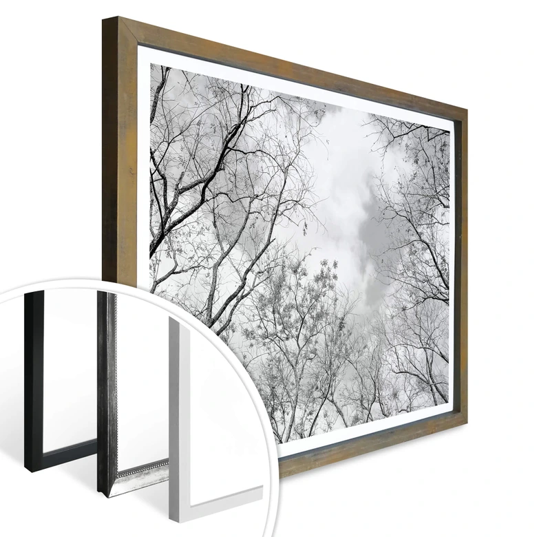 Poster Baumkronen im Himmel 