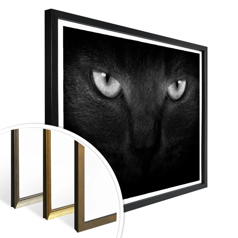 Poster Katzenaugen - schwarz/weiß 