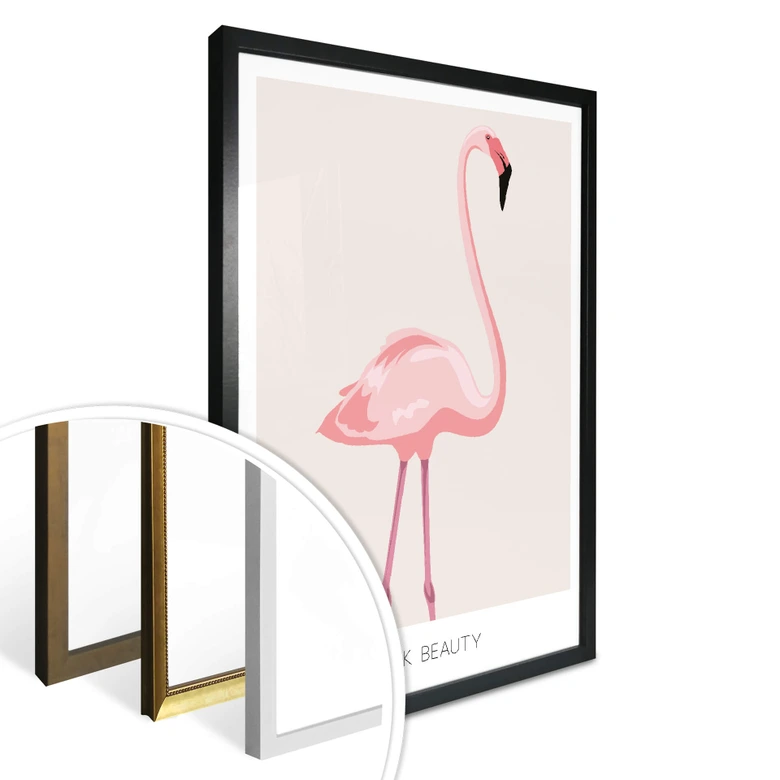 Poster Pink Beauty - Flamingo 